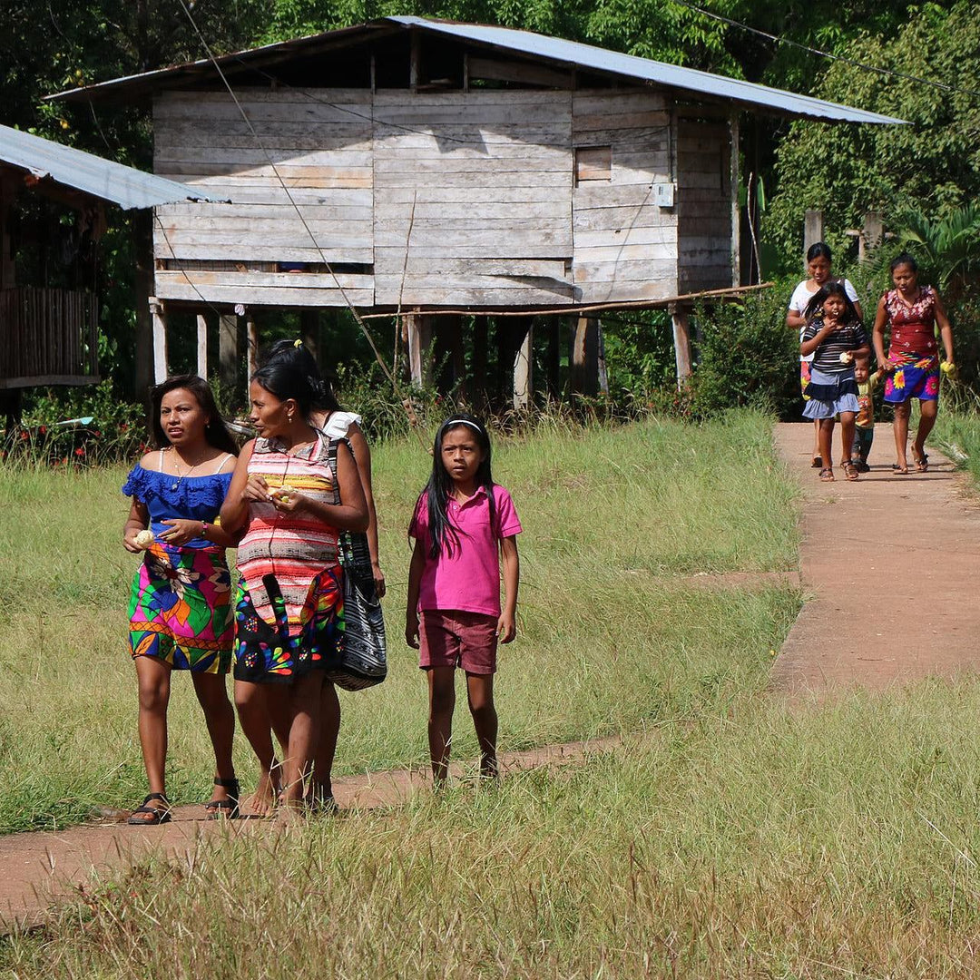 What a Basket Buys: School Fees, Houses, and Clean Water