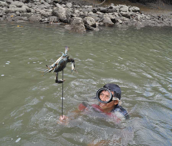 Crab, Wounaan-style: a day spearfishing on the river and a village meal with Raquela.