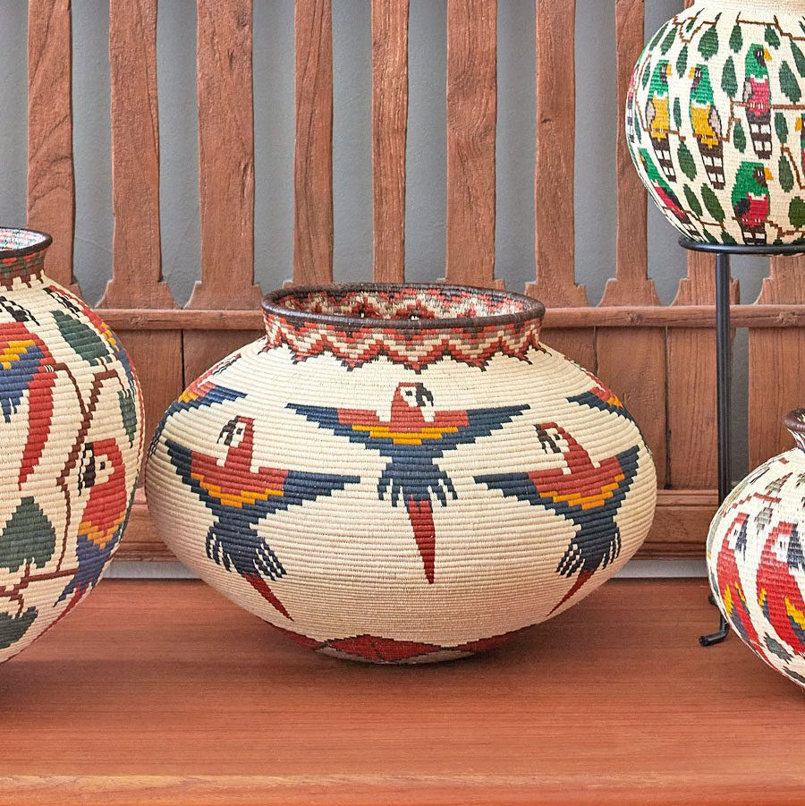 decorative Wounaan basket with vibrant macaws in flight pattern handwoven from werregue palm in Panama