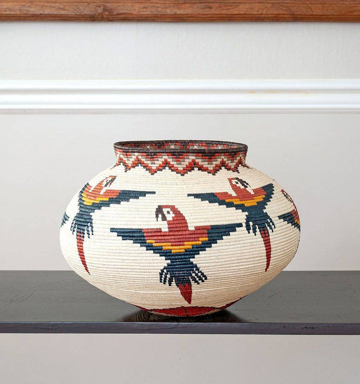 decorative Wounaan basket with vibrant macaws in flight pattern handwoven from werregue palm in Panama