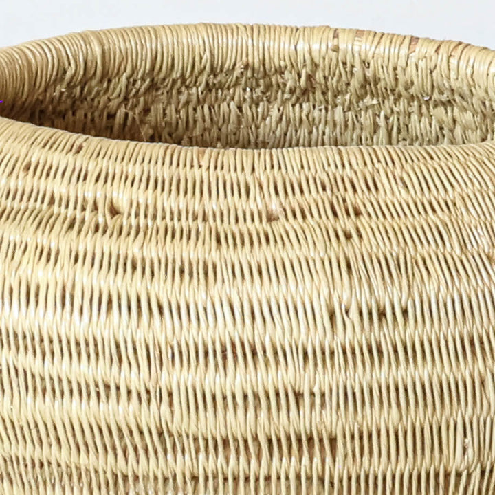 Golden Straw Mini Basket, one of one werregue basket handwoven by Wounaan weavers in Chocó, Colombia, weave detail