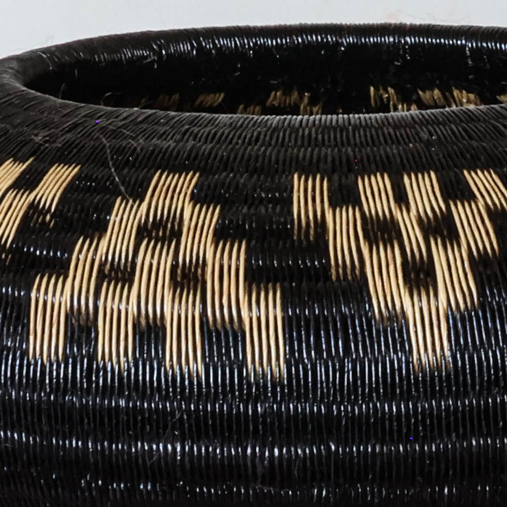Checkered Shadow Basket, one of one werregue basket handwoven by Wounaan weavers in Chocó, Colombia, weave detail