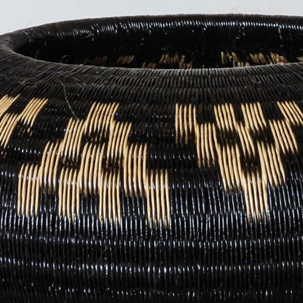 Checkered Shadow Basket, one of one werregue basket handwoven by Wounaan weavers in Chocó, Colombia, weave detail