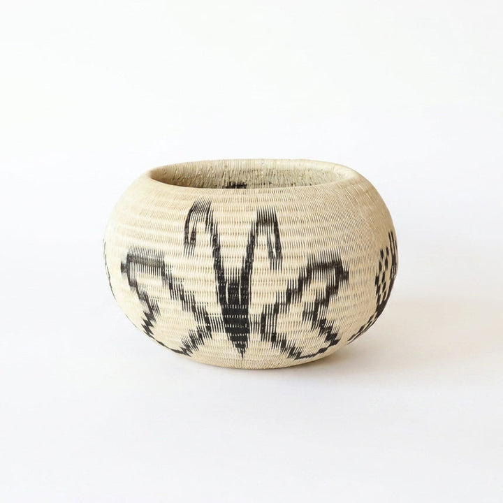 Moth Wing Basket, one of one werregue basket handwoven by Wounaan weavers in Chocó, Colombia