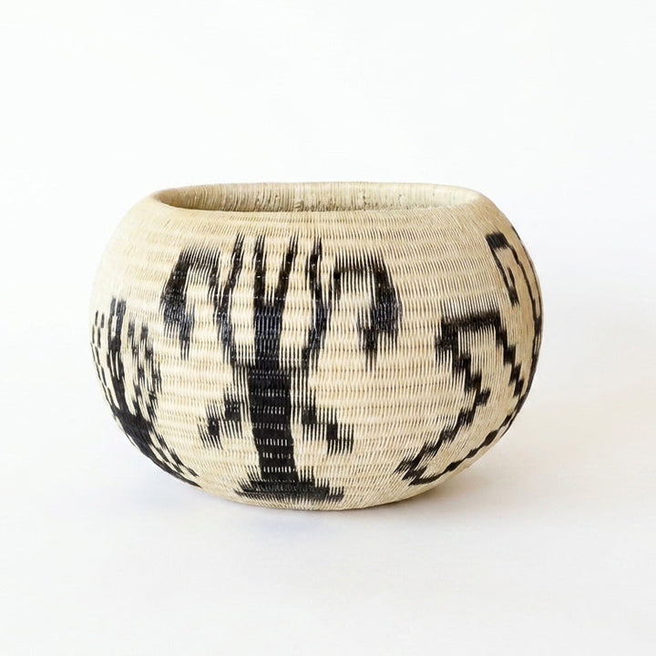Moth Wing Basket, one of one werregue basket handwoven by Wounaan weavers in Chocó, Colombia