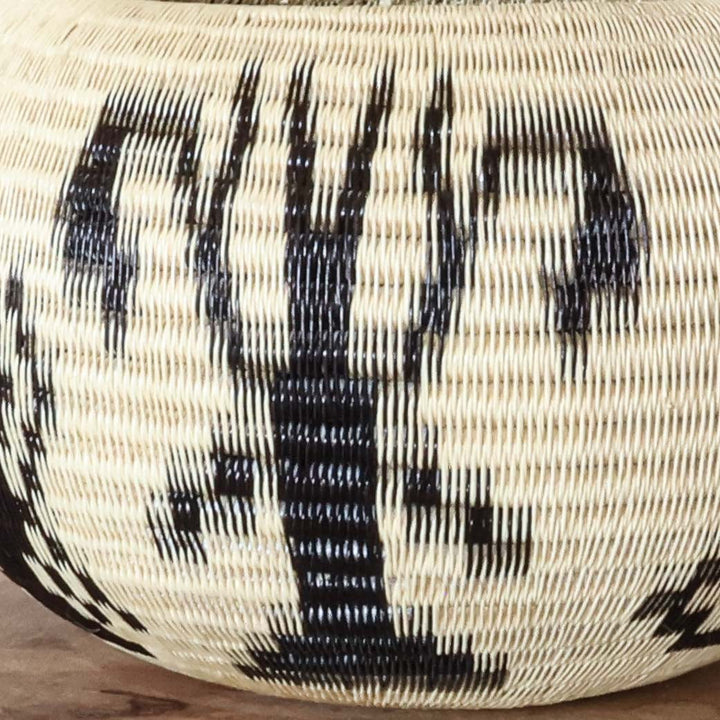 Moth Wing Basket, one of one werregue basket handwoven by Wounaan weavers in Chocó, Colombia, weave detail