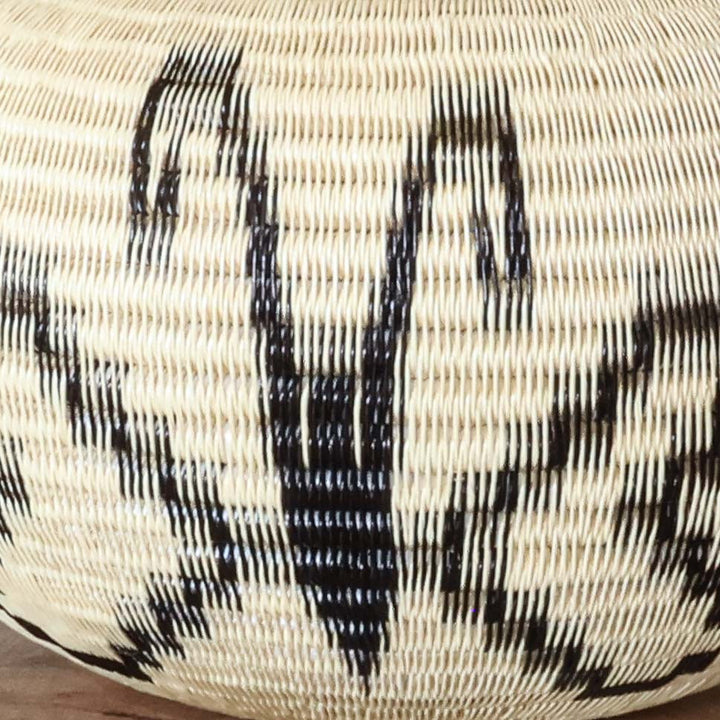 Moth Wing Basket, one of one werregue basket handwoven by Wounaan weavers in Chocó, Colombia, weave detail