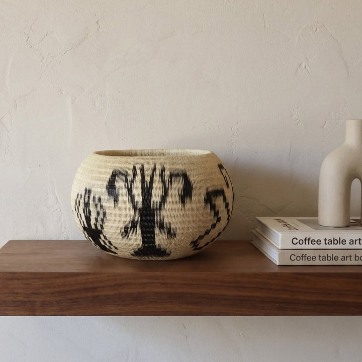 Moth Wing Basket, one of one werregue basket handwoven by Wounaan weavers in Chocó, Colombia, styled on a shelf