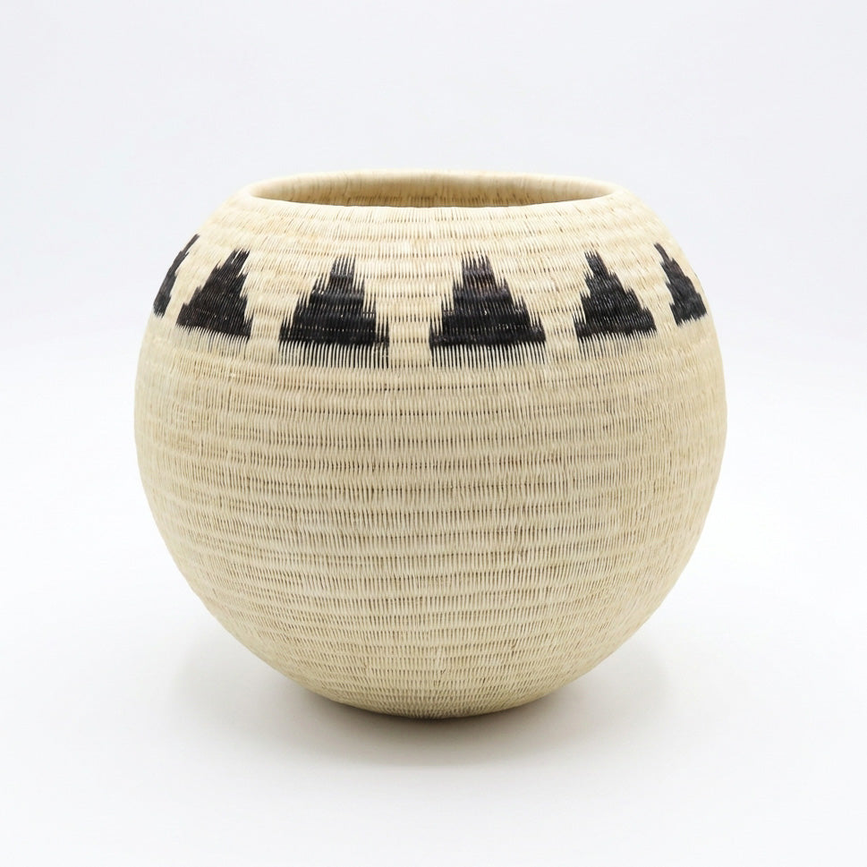 Mountain Ring Basket, one of one werregue basket handwoven by Wounaan weavers in Chocó, Colombia