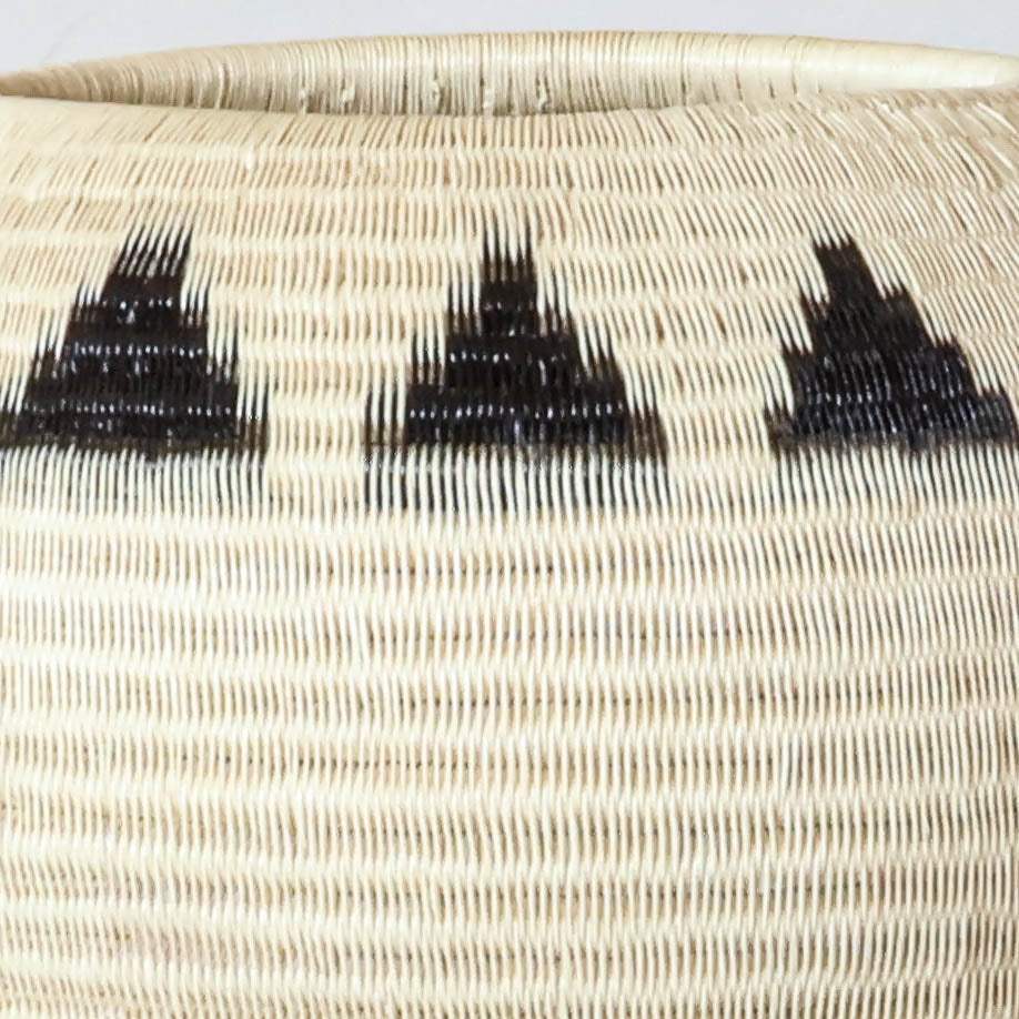 Mountain Ring Basket, one of one werregue basket handwoven by Wounaan weavers in Chocó, Colombia, weave detail