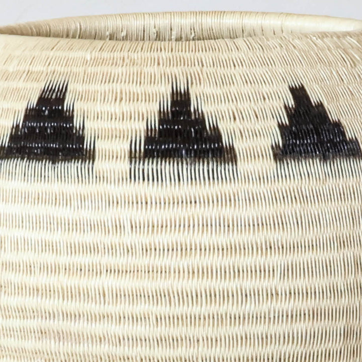 Mountain Ring Basket, one of one werregue basket handwoven by Wounaan weavers in Chocó, Colombia, weave detail