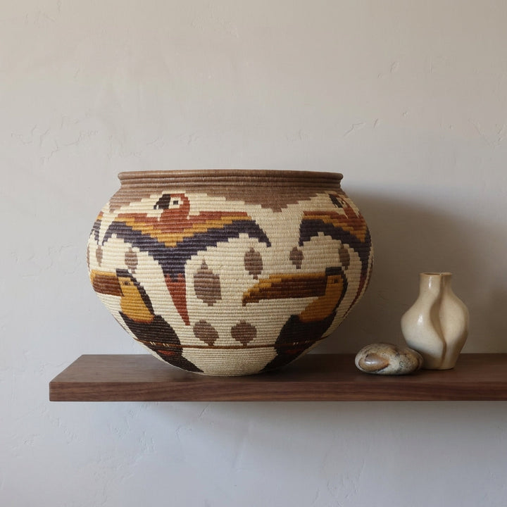 Toucans & Macaws Woven Basket, one of one vintage basket handwoven by Wounaan weavers in Panama, styled on a shelf