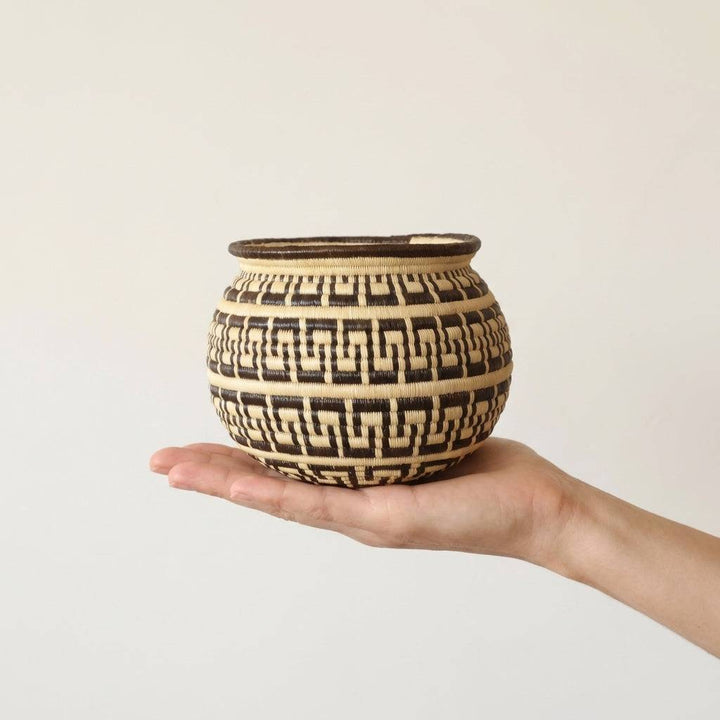 Decorative Wounaan basket with intricate labyrinth pattern handwoven from werregue palm in Panama