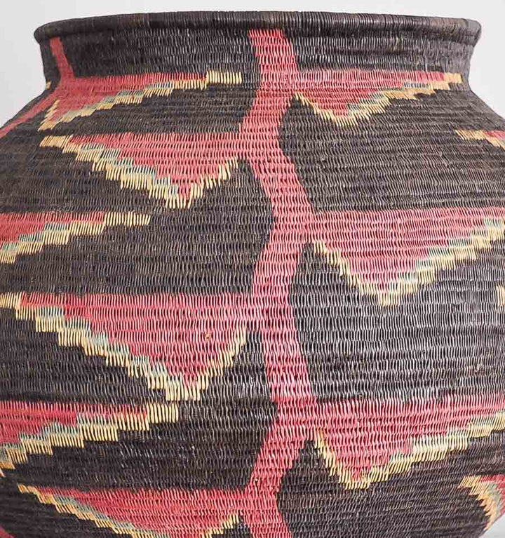 Close-up werregue palm fiber weaving showing intricate heliconia motif and traditional Wounaan coiling