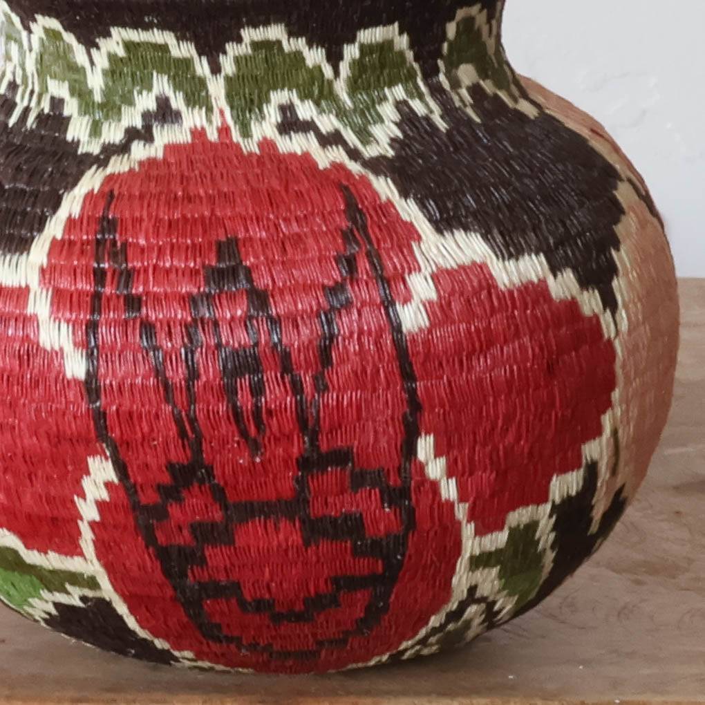 Close-up of intricate woven botanical motifs in natural palm fiber showing Wounaan craftsmanship