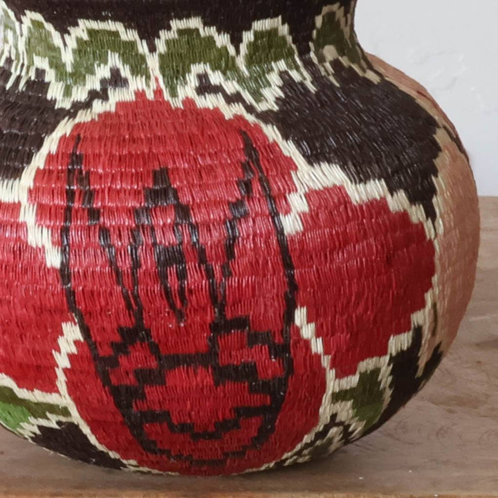 Close-up of intricate woven botanical motifs in natural palm fiber showing Wounaan craftsmanship
