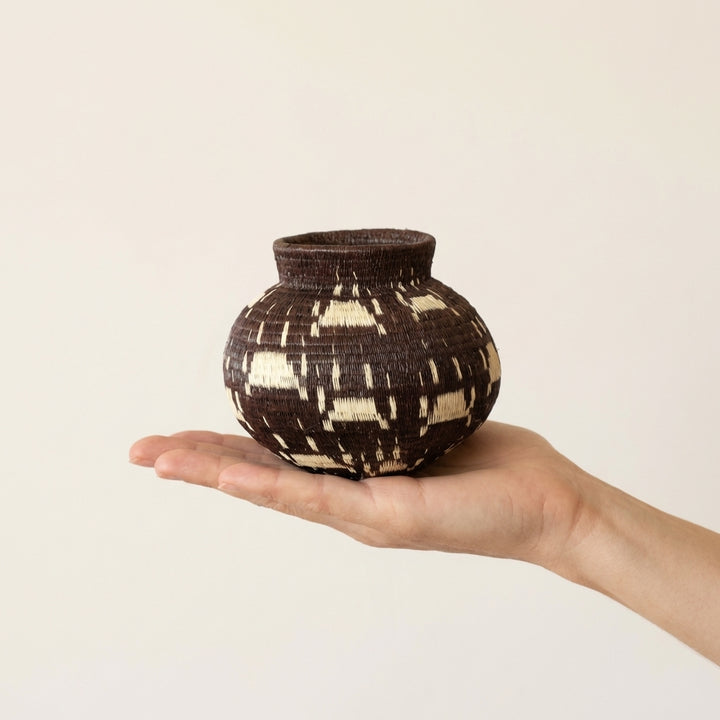 Ivory Paws Wounaan Basket - Handmade Palm Art from Panama