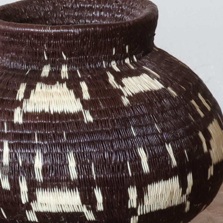 Ivory Paws Wounaan Basket - Handmade Palm Art from Panama