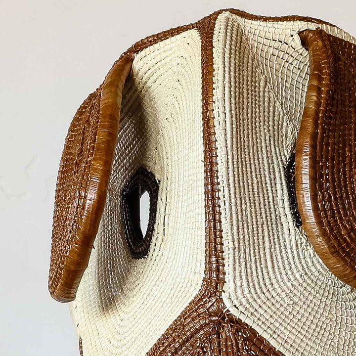 Detail of the concentric woven eyes on an Emberá dog mask
