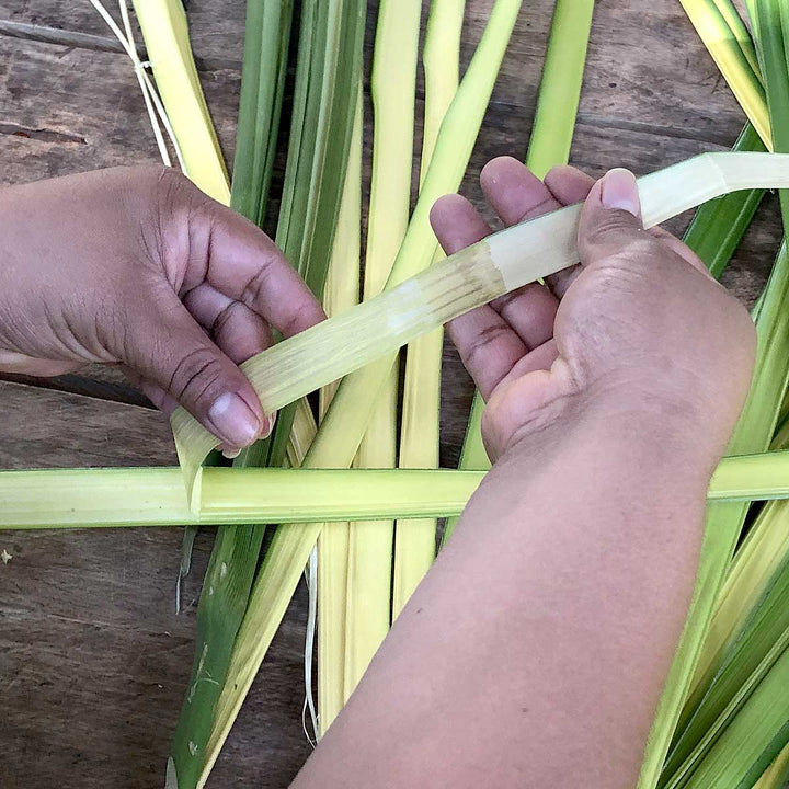 Emberá artisan weaving chunga palm fiber