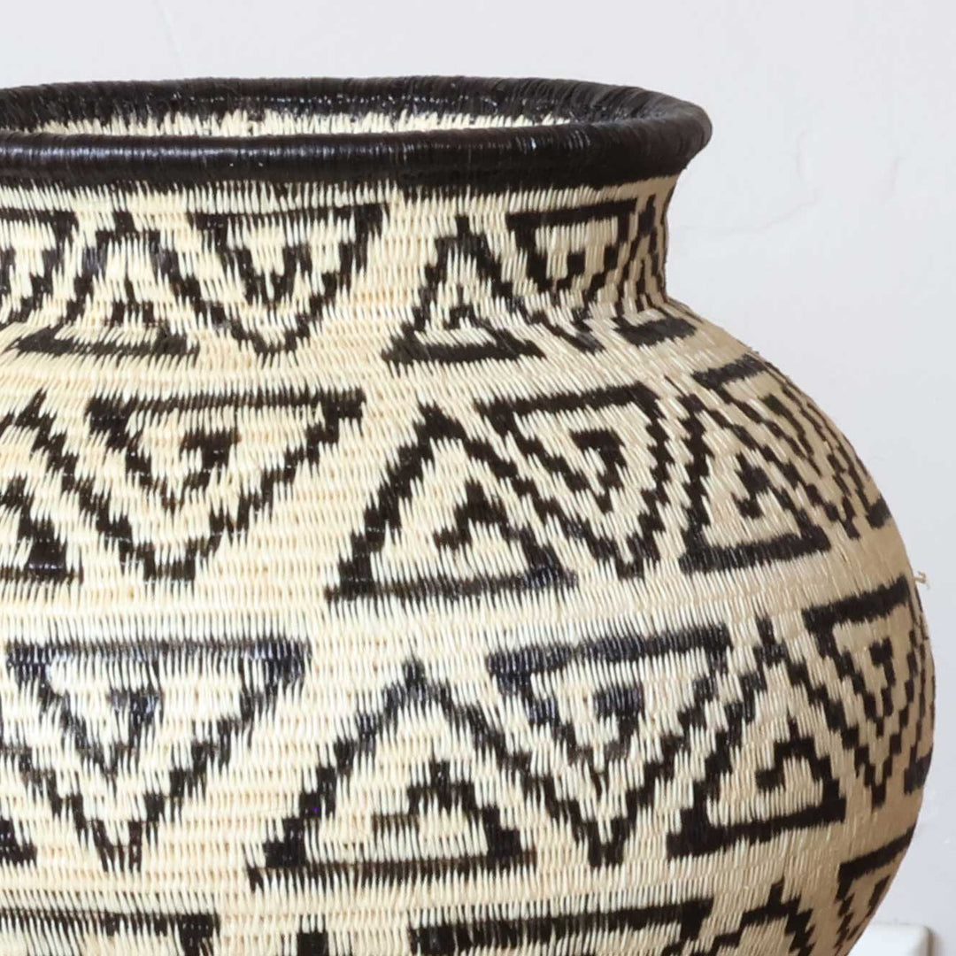 Close-up werregue palm fiber weaving showing intricate fish hook motifs in Wounaan basket