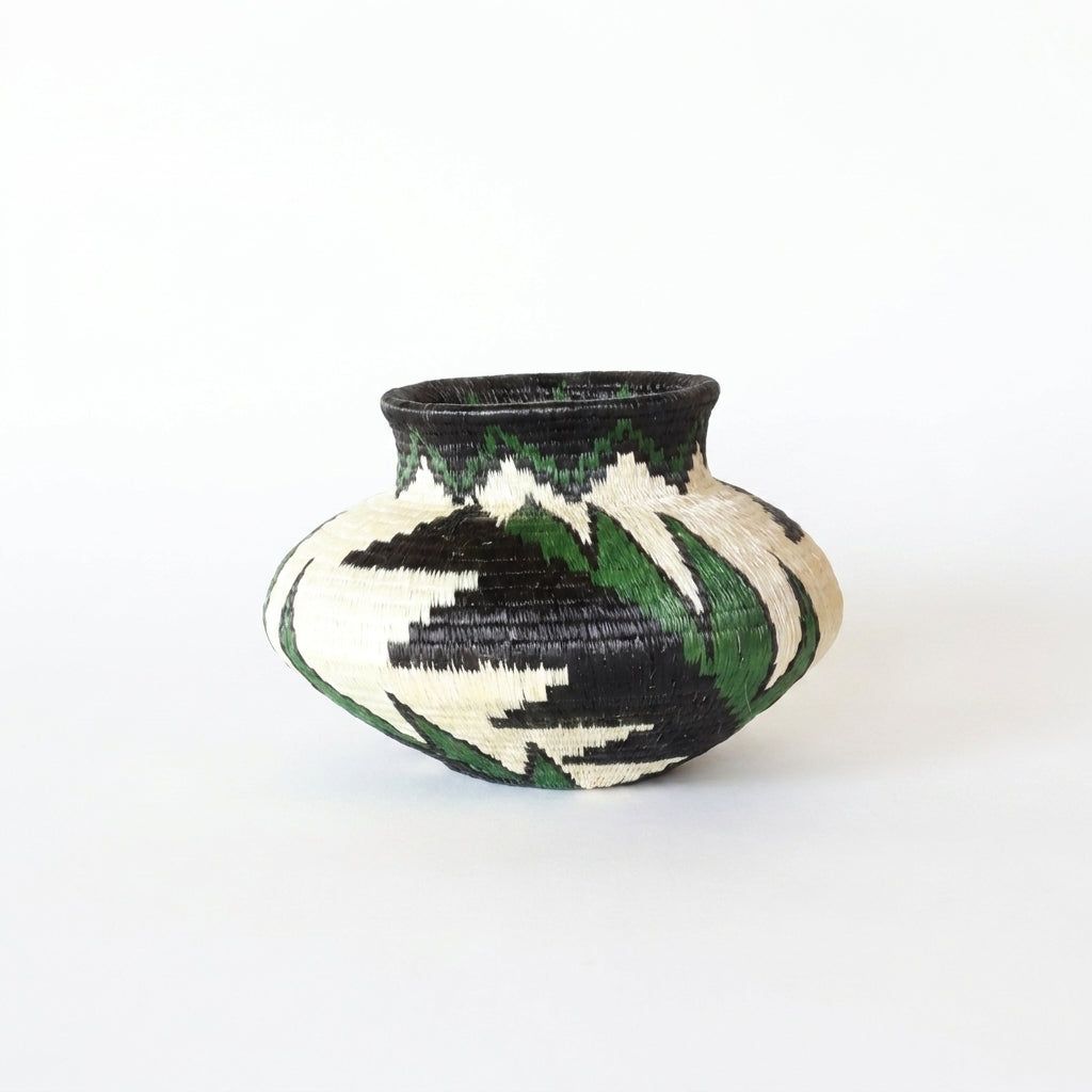 Handwoven Wounaan basket with sweeping forest-green and black feather plumes on ivory, woven art from Panama