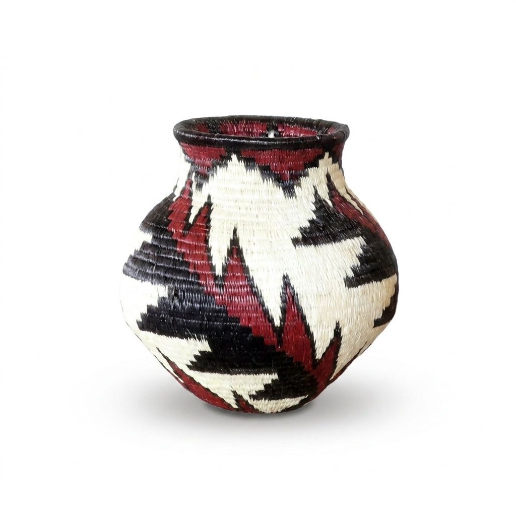 Handwoven Wounaan basket with crimson, black and ivory feather motif, decorative woven art from Darién Panama
