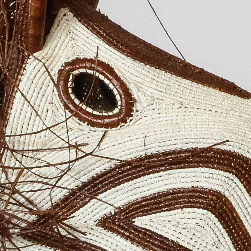 Detail of woven eye and triangle patterns on Emberá horse mask