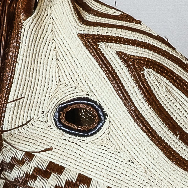 Detail of chevron zigzag weave around eye on Emberá horse mask