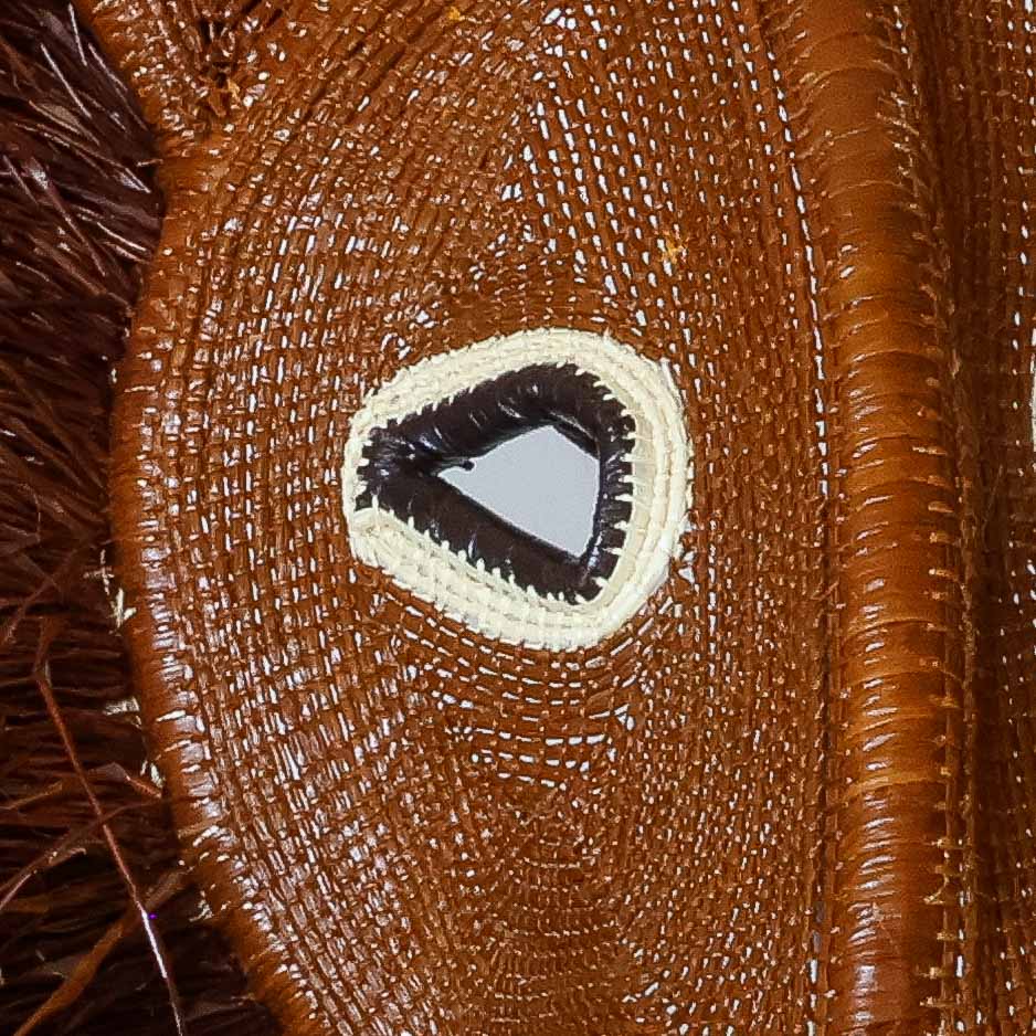 Tawny Lion Woven Mask - Embera Wall Art detail