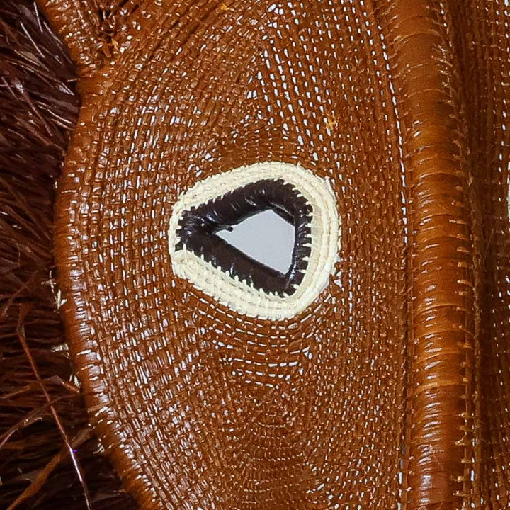 Tawny Lion Woven Mask - Embera Wall Art detail