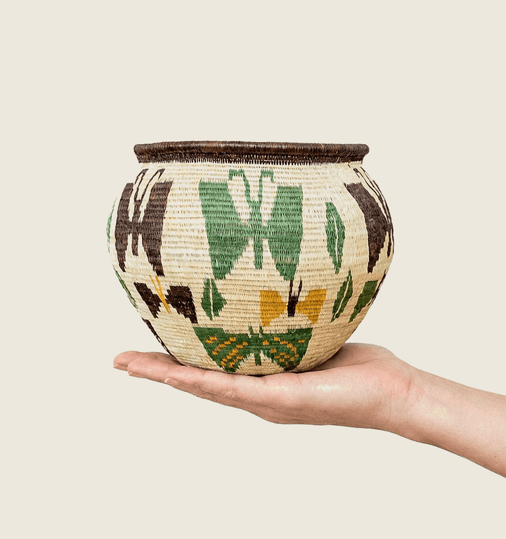 Flight Pattern Wounaan Basket - Handmade Panama Art