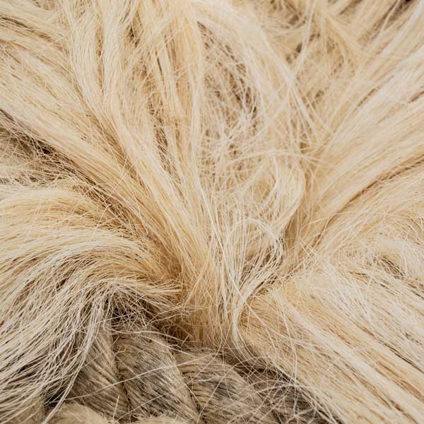 Raw sisal fiber, hand processed for dyeing and weaving